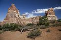 241 Canyonlands National Park, Chesler Park